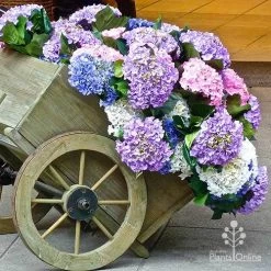 Hydrangea Assorted -Eco Garden Shop apo hydrangea cart
