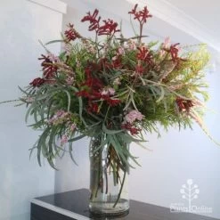 Anigozanthos Big Red - Kangaroo Paw -Eco Garden Shop big red arrangement
