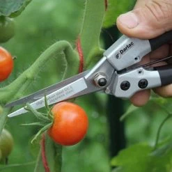 Compact Snips -Eco Garden Shop compact snips