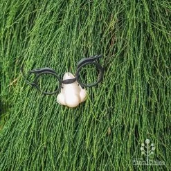 Casuarina Cousin It -Eco Garden Shop cousin it 4 fake nose
