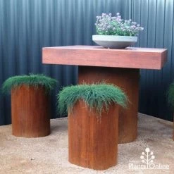 Casuarina Cousin It -Eco Garden Shop cousin it stools 1