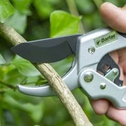 Ratchet Anvil Secateurs -Eco Garden Shop darlac ratchet anvil pruner closer 1