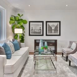 Ficus Lyrata - Fiddle Leaf Fig -Eco Garden Shop fiddle leaf fancy room