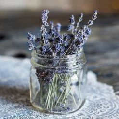 Lavender English Munstead - Seed -Eco Garden Shop lavender dried