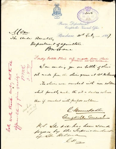 Olive Helena 2 Olive Helena - Image 2