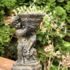 Lotus Red Flash - Parrot's Beak -Eco Garden Shop lotus planted