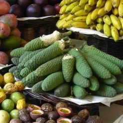 Monstera Deliciosa - Fruit Salad Plant, Swiss Cheese -Eco Garden Shop monstera fruit