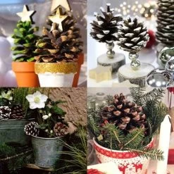 Pine Cones - Pack Of 4 -Eco Garden Shop pine cone pots