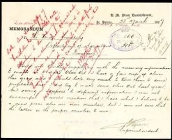 Olive Helena 7 Olive Helena -Eco Garden Shop postcard from st helena superintendent 500 2