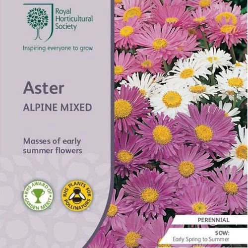 Aster Alpine Mix - Seed 1 Aster Alpine Mix - Seed