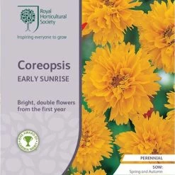 Coreopsis - Seed