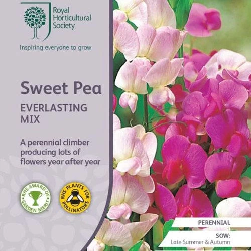 Sweet Pea Everlasting Mix - Seed -Eco Garden Shop rhs everlasting pea