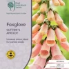 Foxglove Sutton's Apricot - Seed