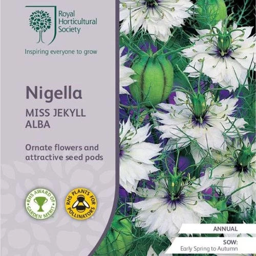 Nigella Miss Jekyll White - Love In A Mist - Seed -Eco Garden Shop rhs nigella white