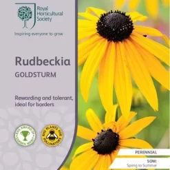 Rudbeckia - Seed -Eco Garden Shop rhs rudbeckia