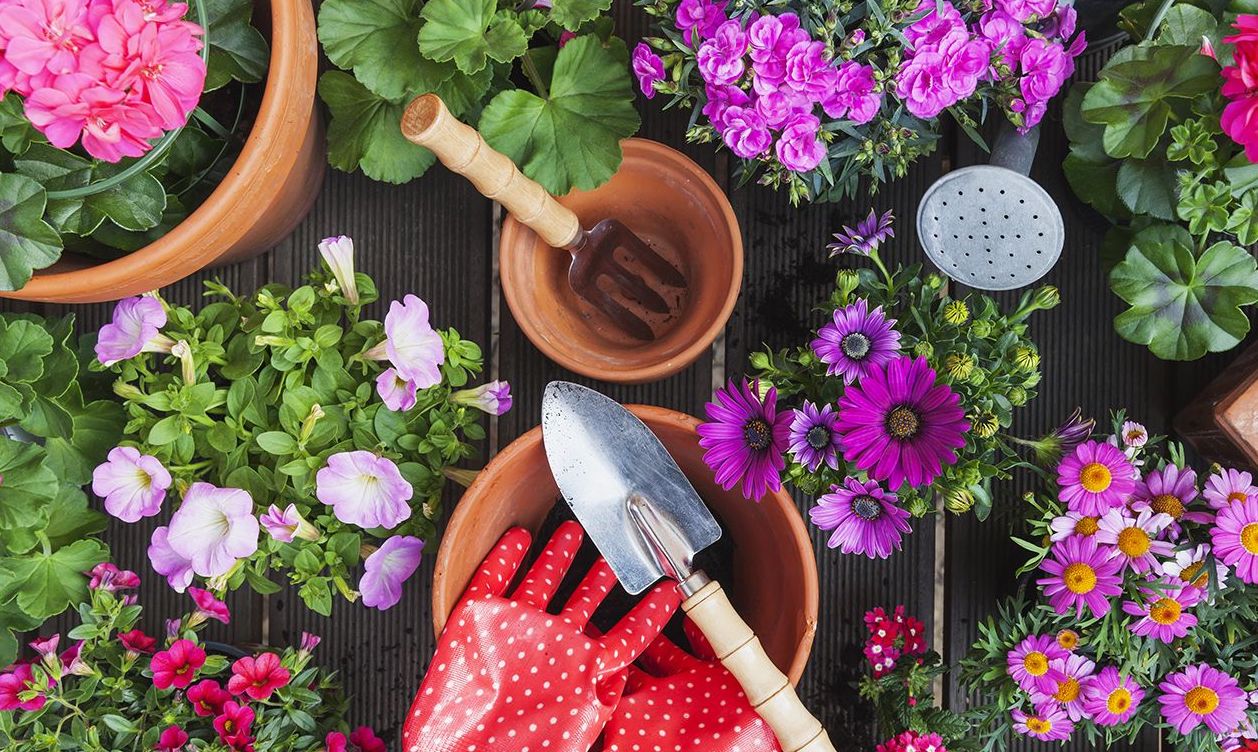 Eco Garden Shop -Eco Garden Shop best gardening tools amazon 1520283471